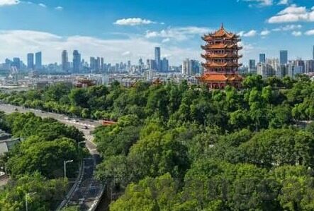 比分即时比分足球网直播-揭秘比分即时比分足球网直播，球迷的观赛神器与数据宝库