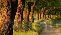 部落冲突九游版下载安装-部落冲突九游版下载体验与游戏策略